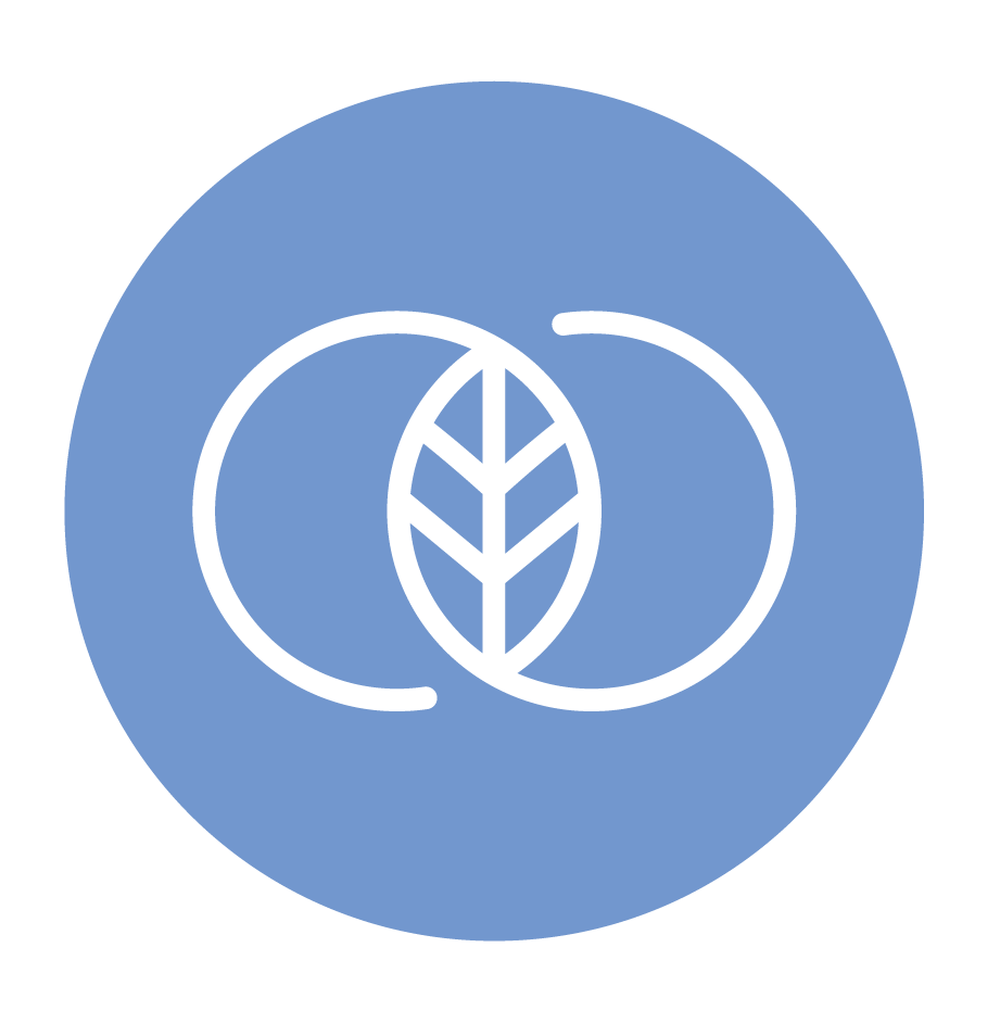 icon-2